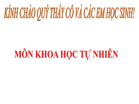 Bài giảng Khoa học tự nhiên Lớp 8 Sách Cánh diều - Tiết 127, Bài 41: Hệ sinh thái